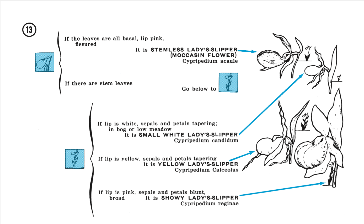 flower finder