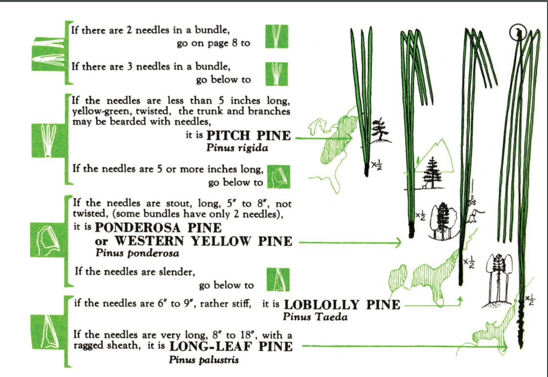 tree finder