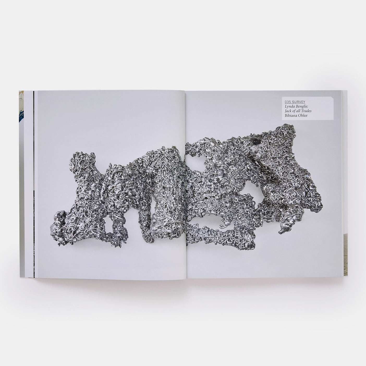 lynda benglis