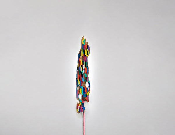 Artifacts: Nature's Readymades