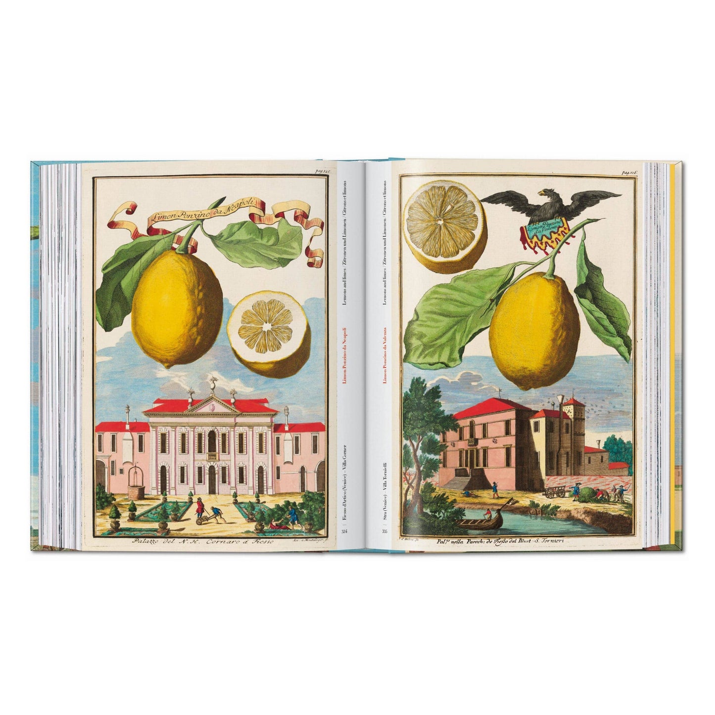 J. C. Volkamer. The Book of Citrus Fruits. 45th Ed.