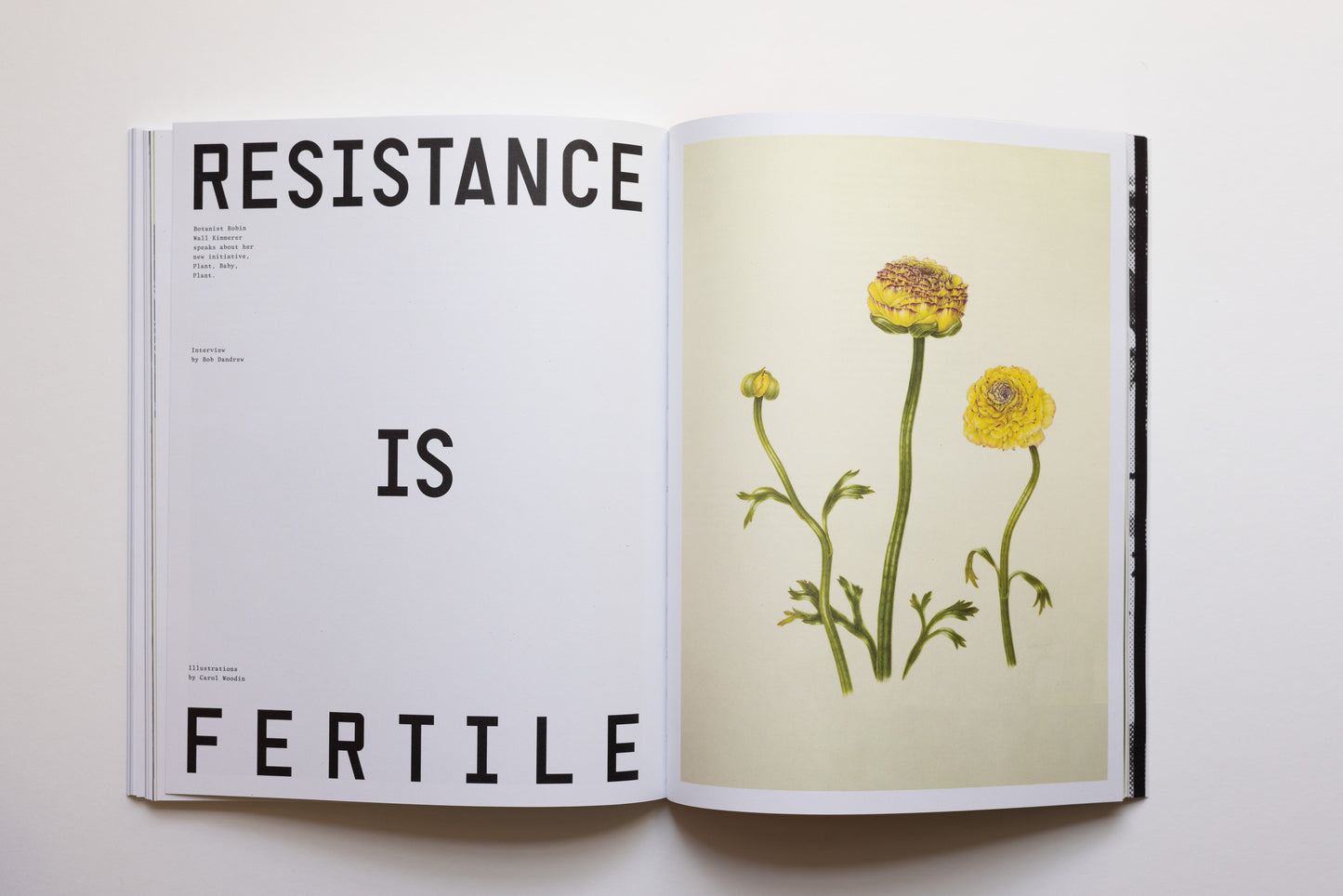 H.E.R.E. Journal Issue 1