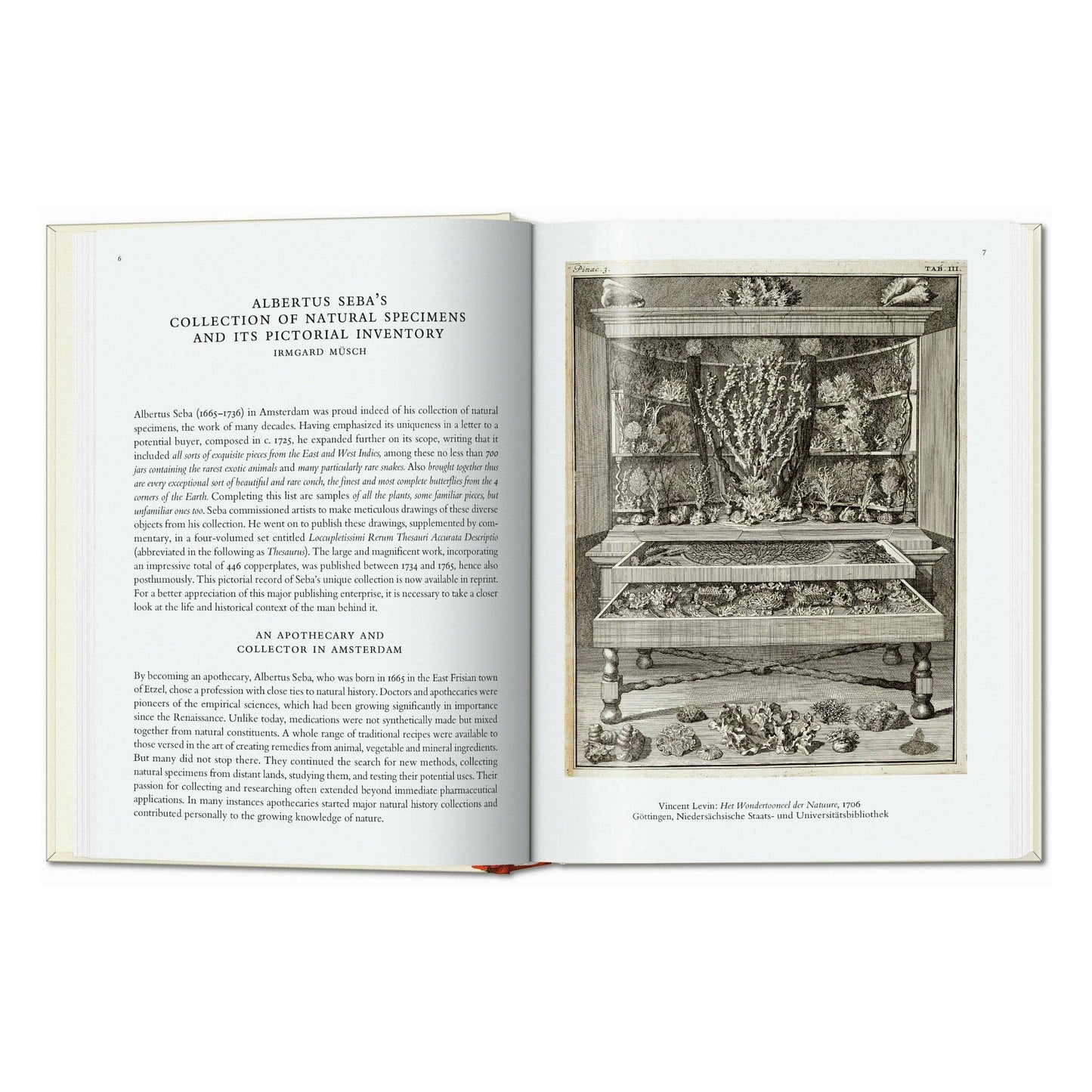 Seba. Cabinet of Natural Curiosities. 45th Ed.
