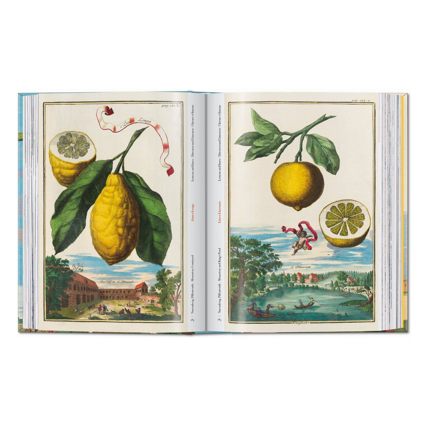 J. C. Volkamer. The Book of Citrus Fruits. 45th Ed.