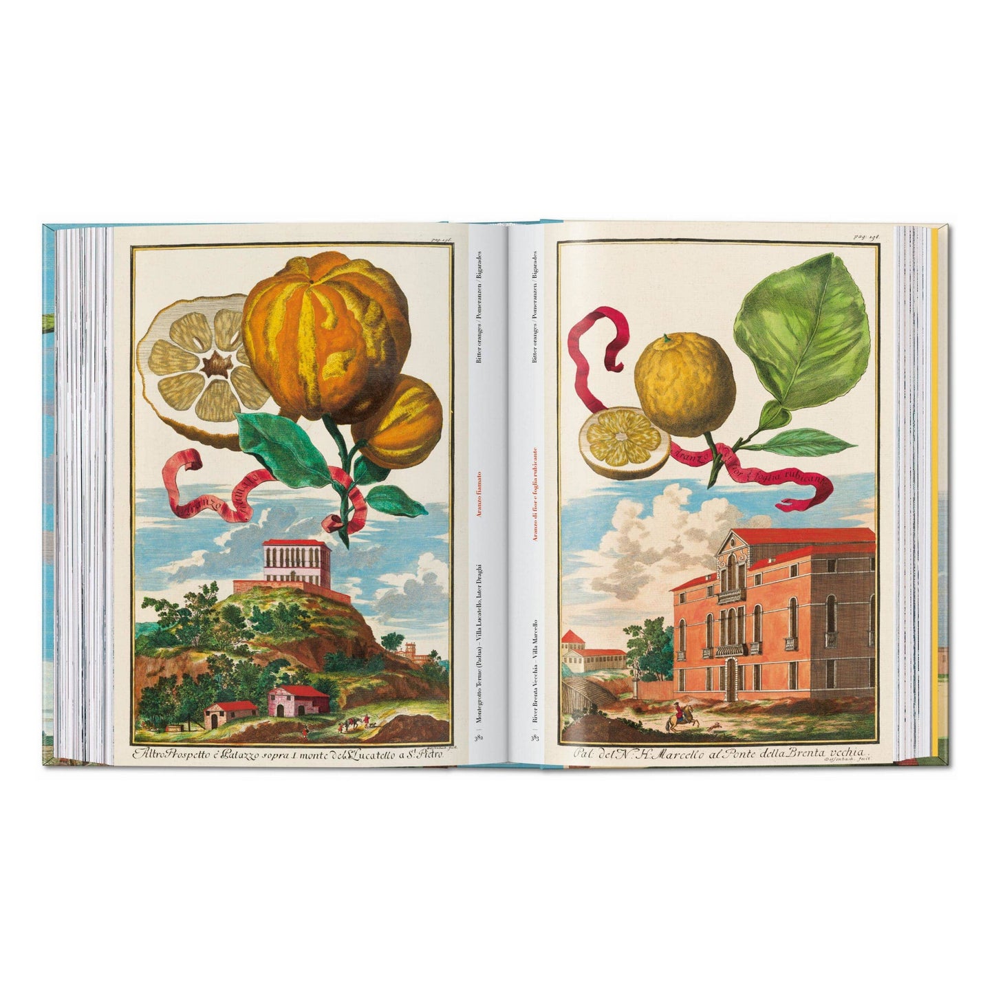 J. C. Volkamer. The Book of Citrus Fruits. 45th Ed.