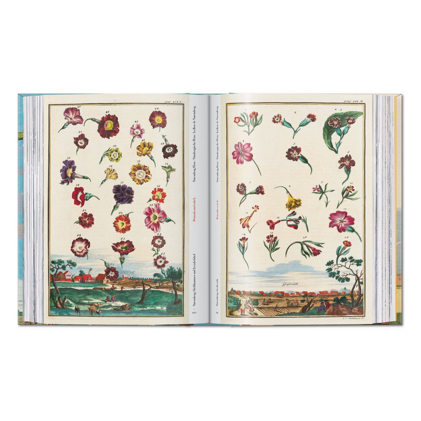 J. C. Volkamer. The Book of Citrus Fruits. 45th Ed.