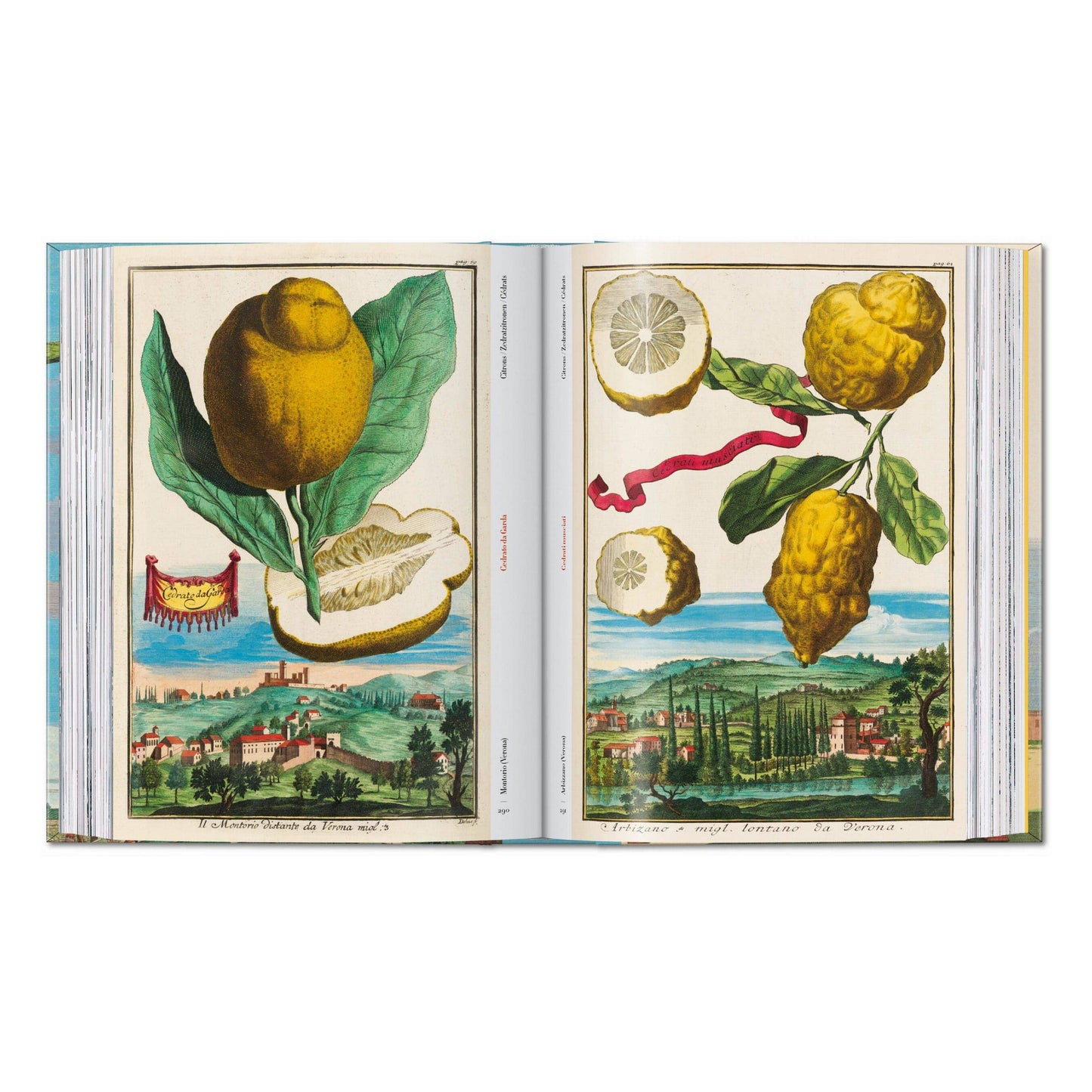 J. C. Volkamer. The Book of Citrus Fruits. 45th Ed.