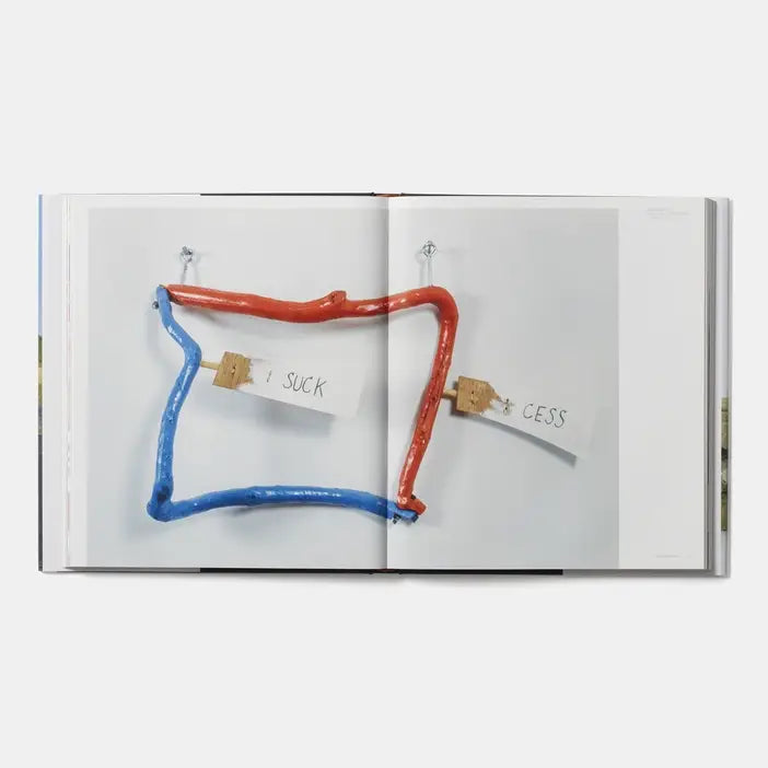 Jimmie Durham: Revised And Expanded Edition