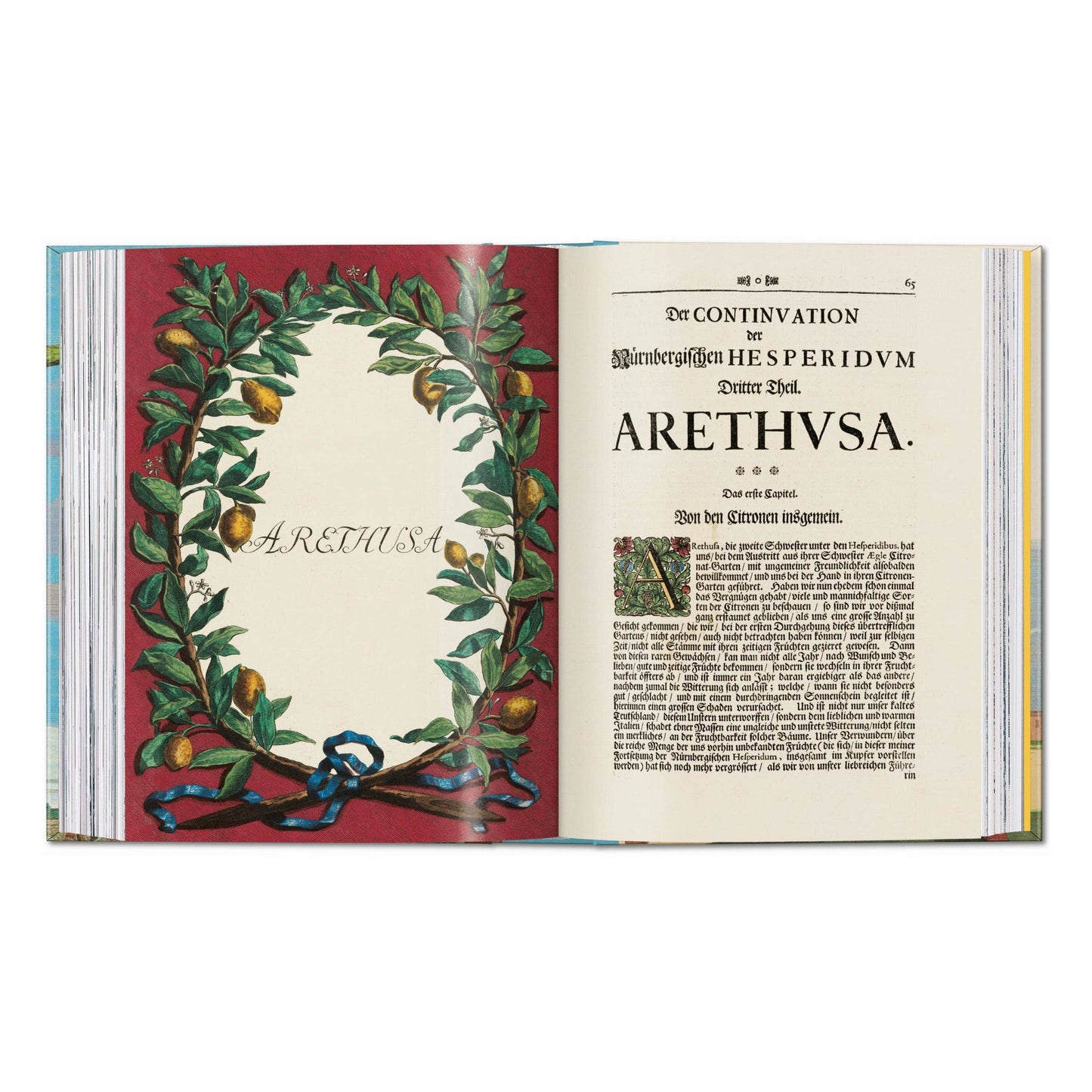 J. C. Volkamer. The Book of Citrus Fruits. 45th Ed.