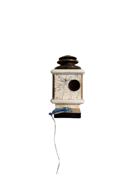 Dan Ladd: The Birdhouses