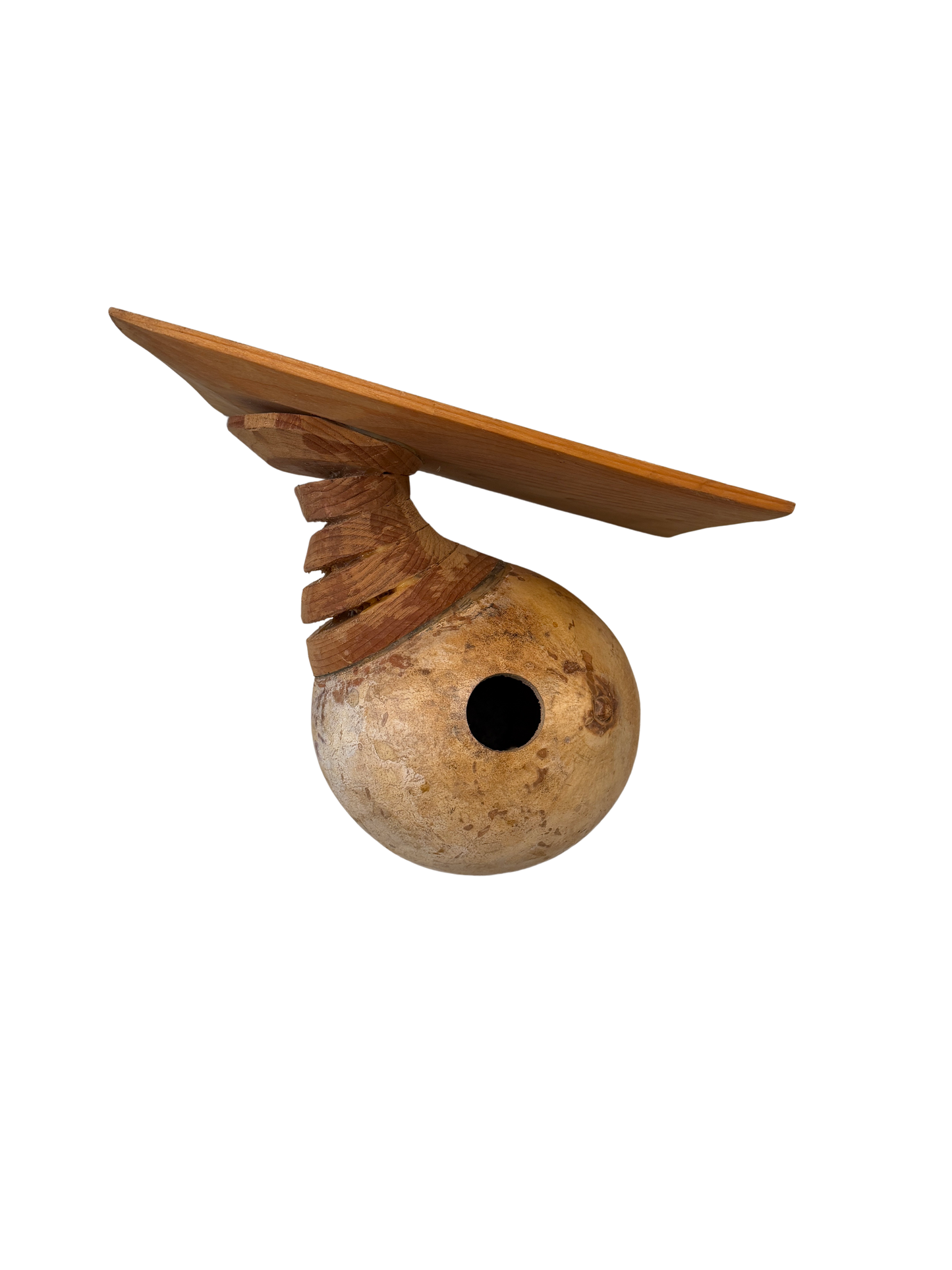 Dan Ladd: The Birdhouses