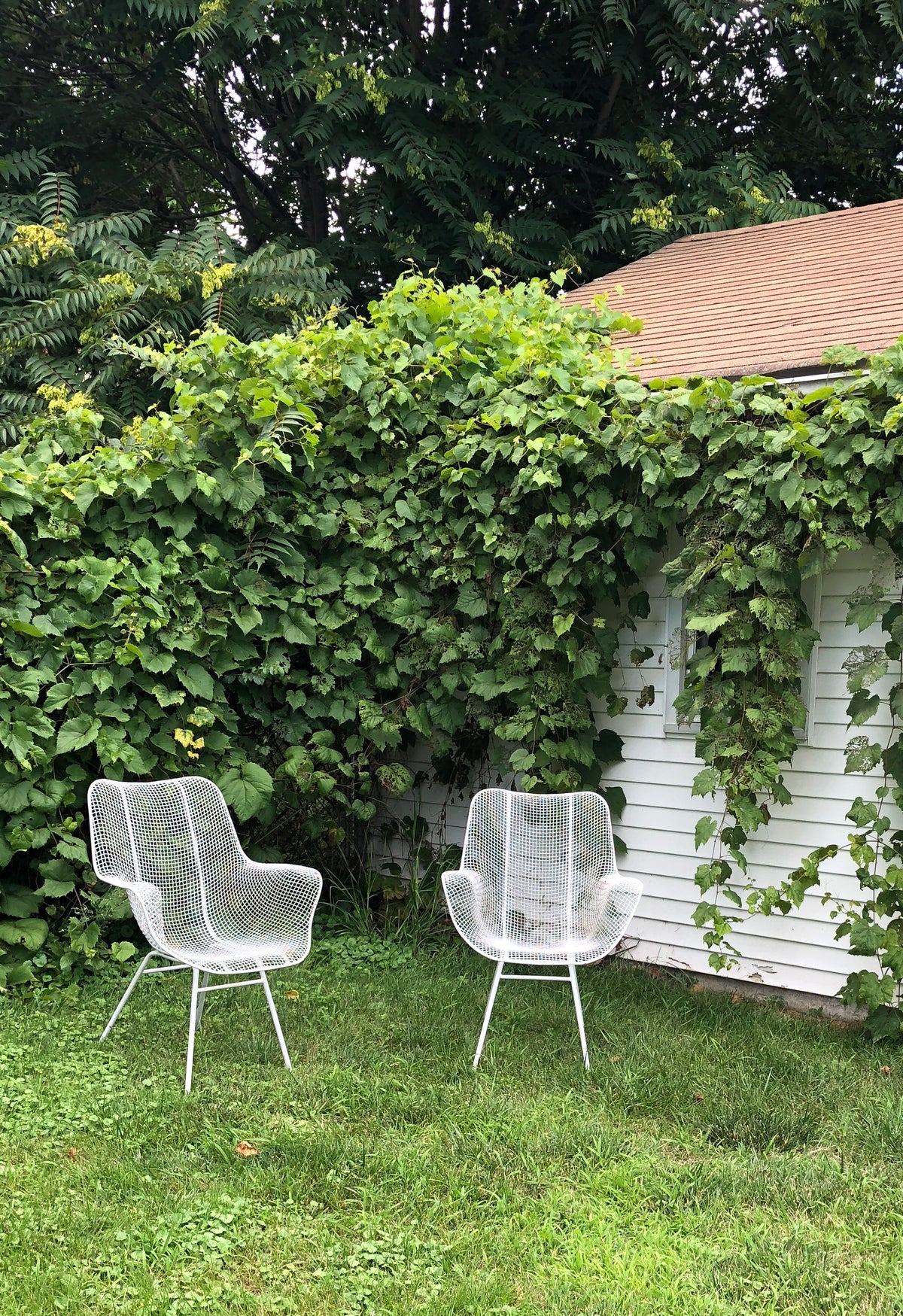 Russell Woodard Sculptura Chairs
