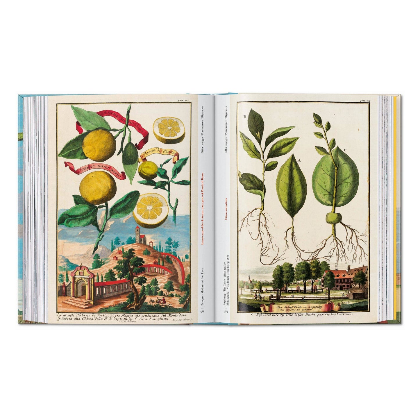 J. C. Volkamer. The Book of Citrus Fruits. 45th Ed.