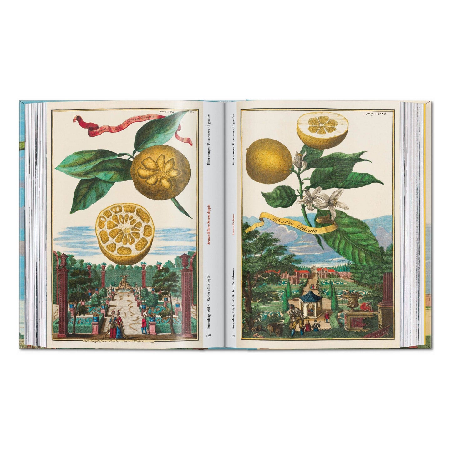 J. C. Volkamer. The Book of Citrus Fruits. 45th Ed.