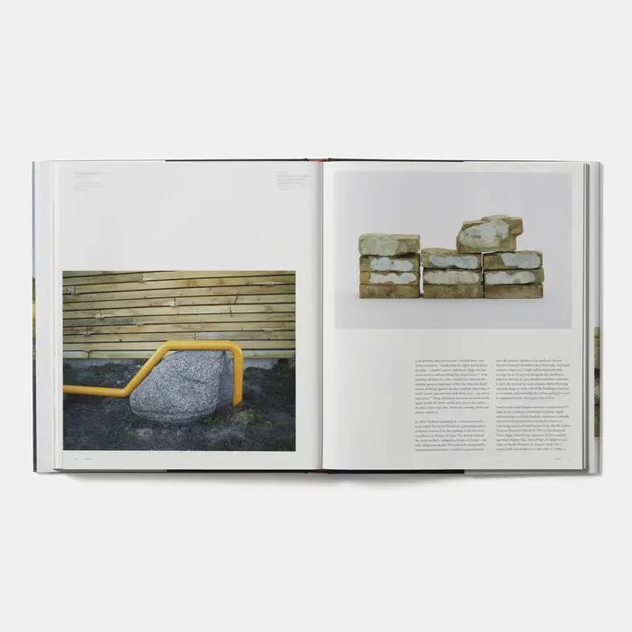 Jimmie Durham: Revised And Expanded Edition