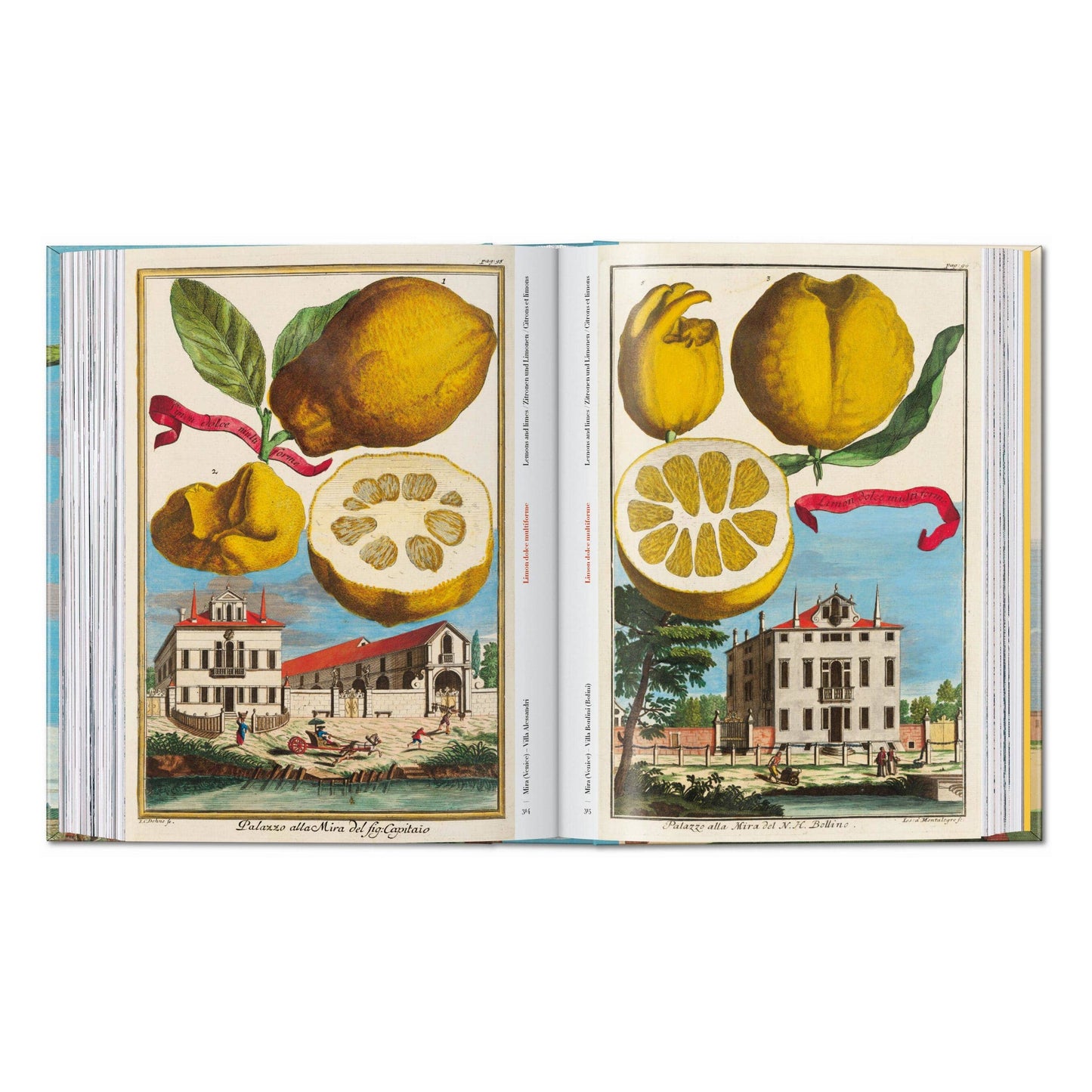 J. C. Volkamer. The Book of Citrus Fruits. 45th Ed.